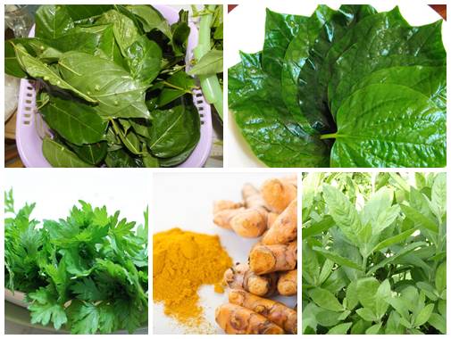 Cách chữa bệnh trĩ giai đoạn đầu bằng phương pháp dân gian