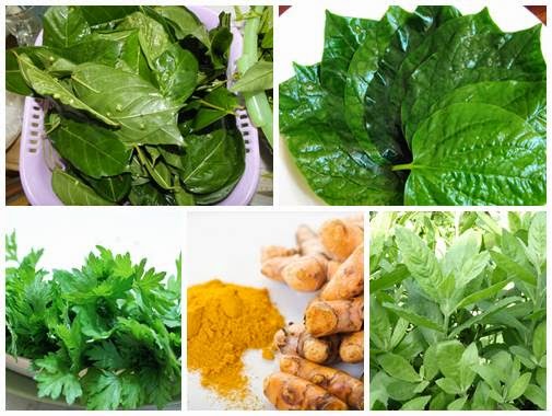 Chữa trĩ ngoại Chữa trĩ ngoại