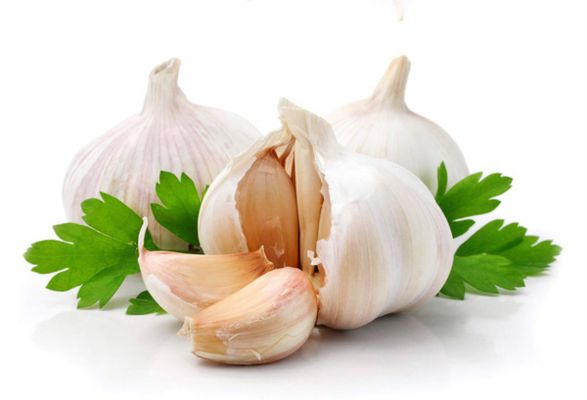 Cách chữa và điều trị bệnh trĩ bằng củ tỏi