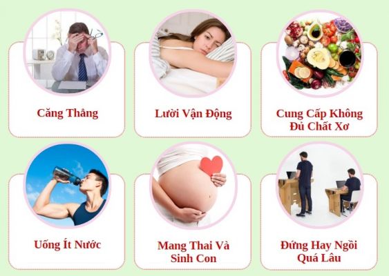Nguyên nhân bị bệnh trĩ nội Nguyên nhân bị bệnh trĩ nội
