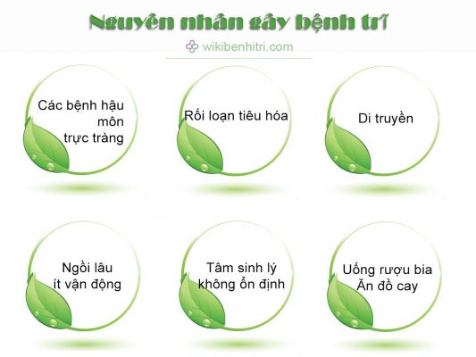 Nguyên nhân gây bệnh trĩ
