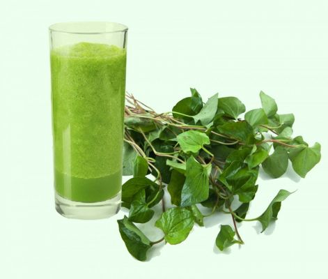 Điều trị bệnh trĩ ngoại bằng rau diếp cá Điều trị bệnh trĩ ngoại bằng rau diếp cá