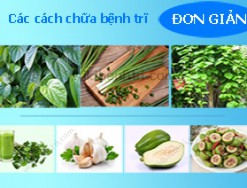 Những cách chữa và điều trị bệnh trĩ hiệu quả